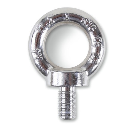 ROBUR 8240F Golfari per sollevamento inox A4 maschio, FORGIATI